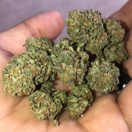 Alien OG