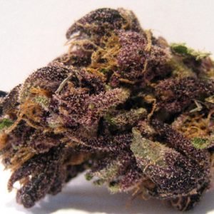 animal_cookies