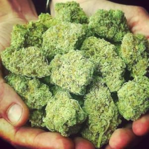 Blue cheese