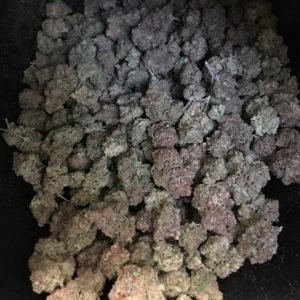 buy blue berry cheese
