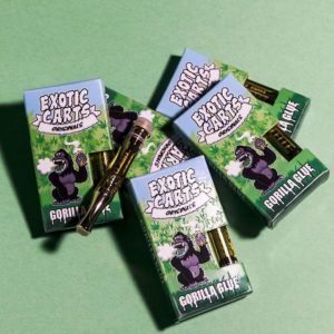 Gorilla glue
