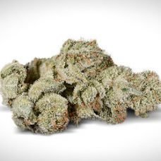 Gorilla Glue
