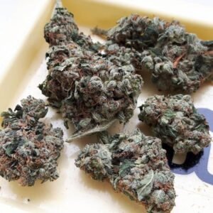 Holy Grail kush