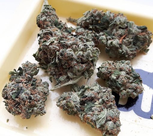 Holy Grail kush