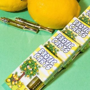Lemon Tree