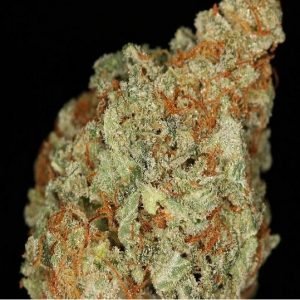 NYC Diesel