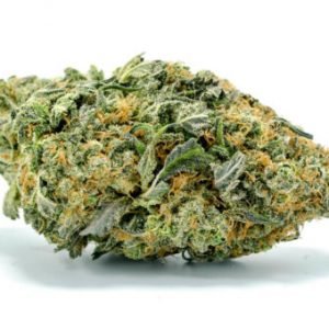 Northern-Lights