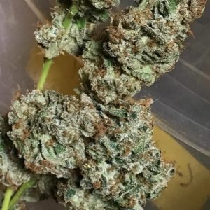 bruce_banner
