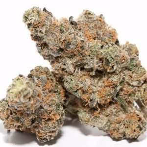 candyland