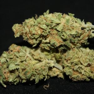 chocolope