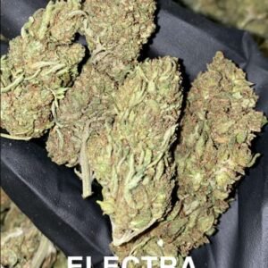electra