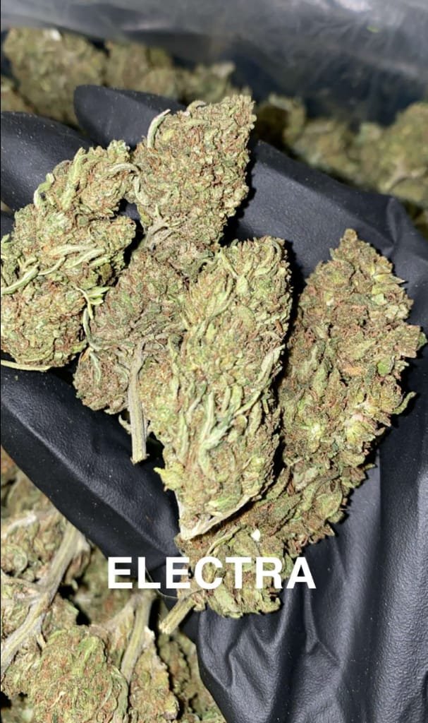electra