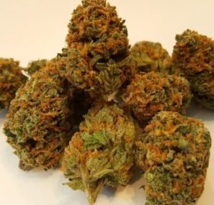 jedi weed strain