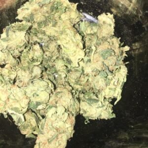 king tut