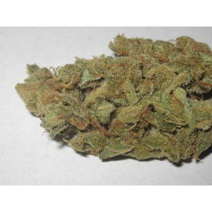liberty haze