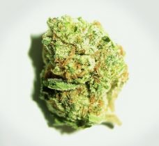 Og kush
