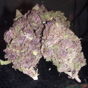 purple kush