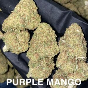 purple mango strain
