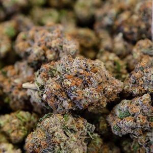 buy runtz weed online