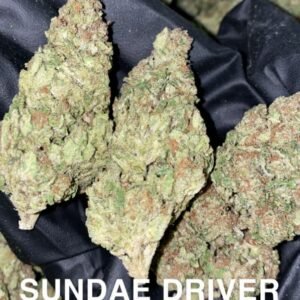 sundae driver